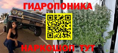 бошки Ливны